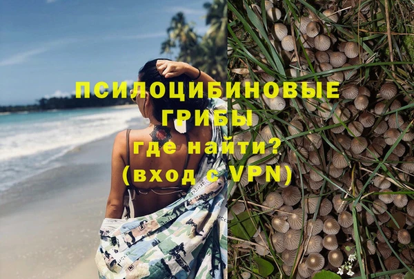 гидропоника Арсеньев