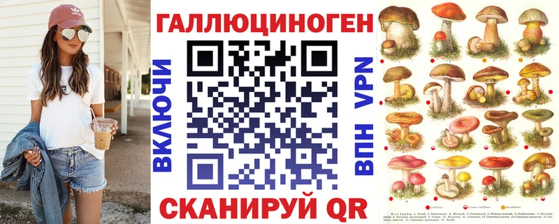 mega вход  купить наркоту  Берёзовка  Галлюциногенные грибы Cubensis 